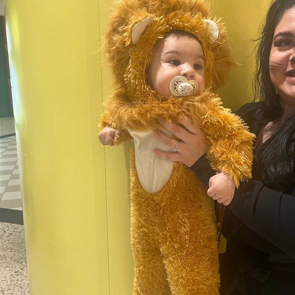 Adorable Lion Costume for Kids